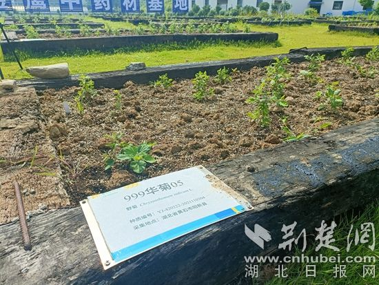 企業微信截圖_16931849307114.png